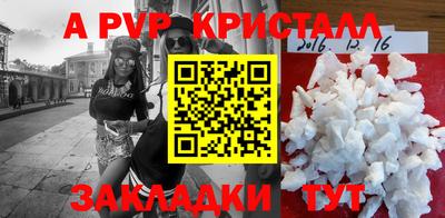 PSILOCYBIN Ярославль