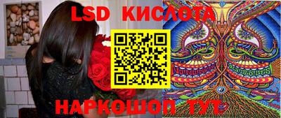 PSILOCYBIN Ярославль