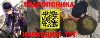 PSILOCYBIN Ярославль