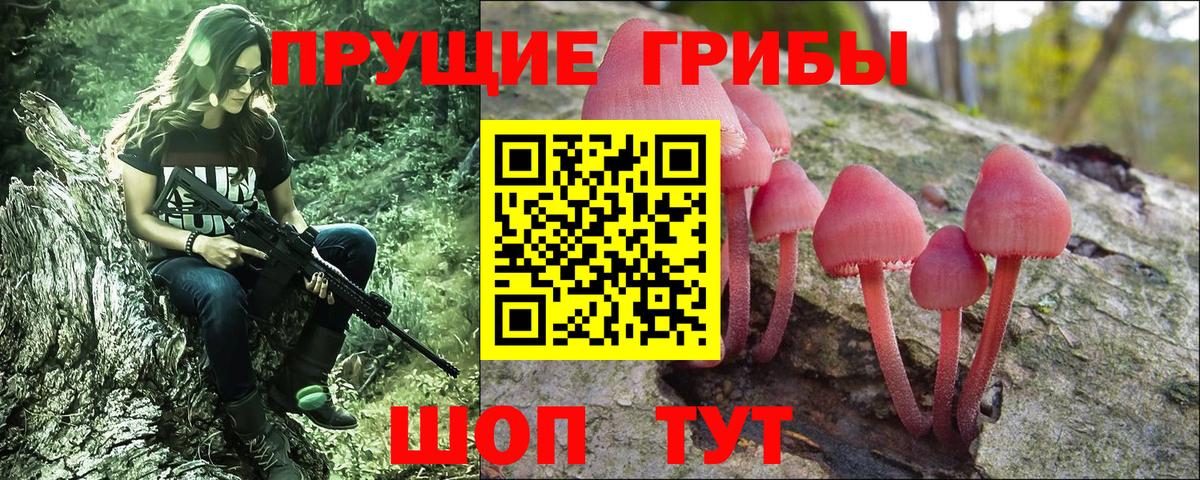 Камышлов  Псилоцибиновые грибы ЛСД  Вход с VPN 